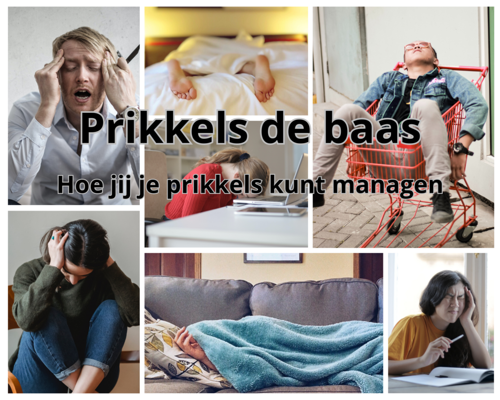 Webinar prikkels de baas