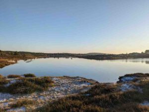 De magie van de natuur