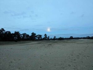 Weg met die afleiding