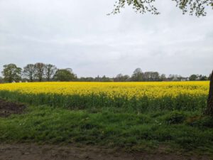 Benut je veelzijdigheid