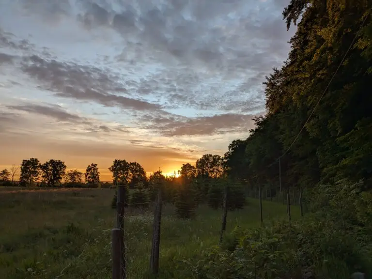 Zomerse overdenkingen